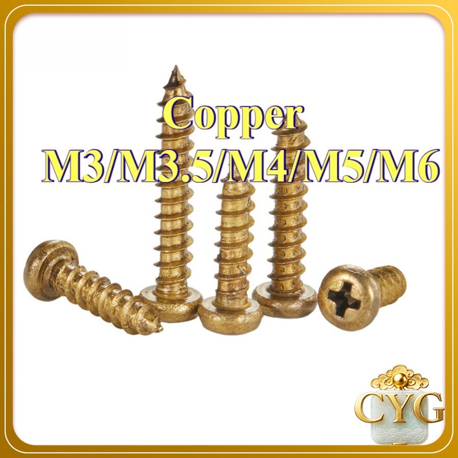 สกรู เกลียวปล่อย ทองเหลือง หัวกลม หัวแพน แฉก P+ ปลายแหลม น็อต Pan Head Phillip Tapping Screw H68  M3