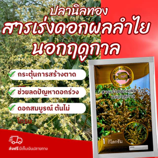 ปลานิลทอง สารเร่งดอกลำไยนอกฤดูกาล ช่วยเปิดตาดอก บังคับให้ออกดอกนอกฤดู ขั้วเหนียว ขนาด 1 กก.