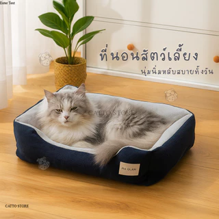 ที่นอนน้องแมว ที่นอนสัตว์เลี้ยง เบาะนอน นุ่ม หนา น่ารัก พาสเทล กันลื่น พร้อมส่ง มีขอบกันตก BEDA