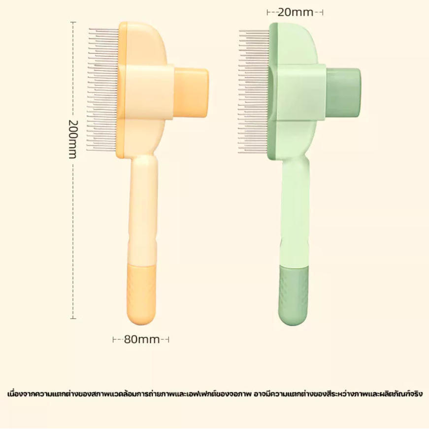 รูปภาพ 9