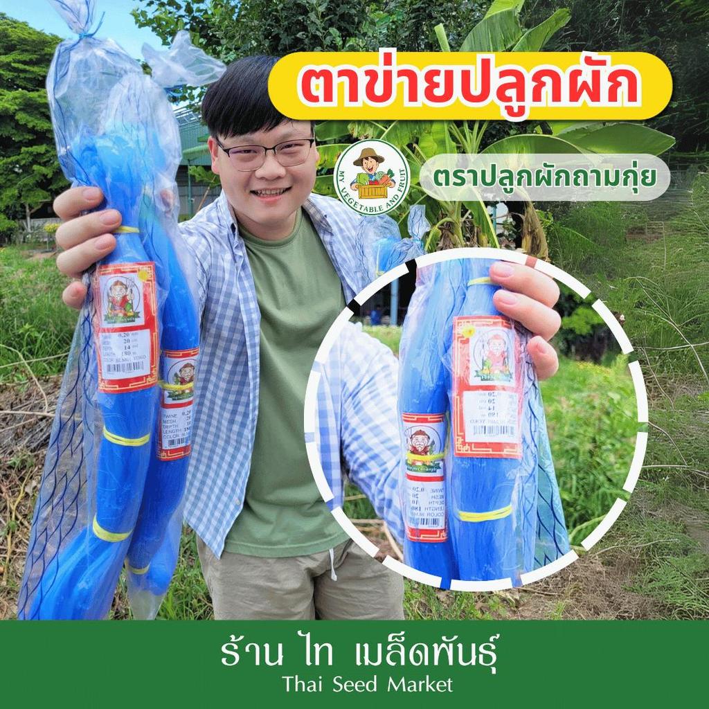 ตาข่าย 10,14,16,20 ตา อวนแตง แตงกวา ถั่ว บวบ มะระ ค้างแตง ตาข่ายปลูกแตง ปลูกผัก ตาข่ายตรา ปลูกผักถามกุ่ย