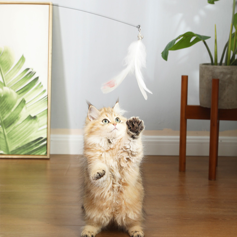 รูปภาพ 5