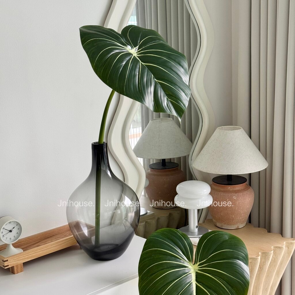 [พร้อมส่ง] Jnihouse : กิ่งใบฟิโลเดนดรอนประดิษฐ์(Philodendron Leaf)(tree) - รูปที่ 3