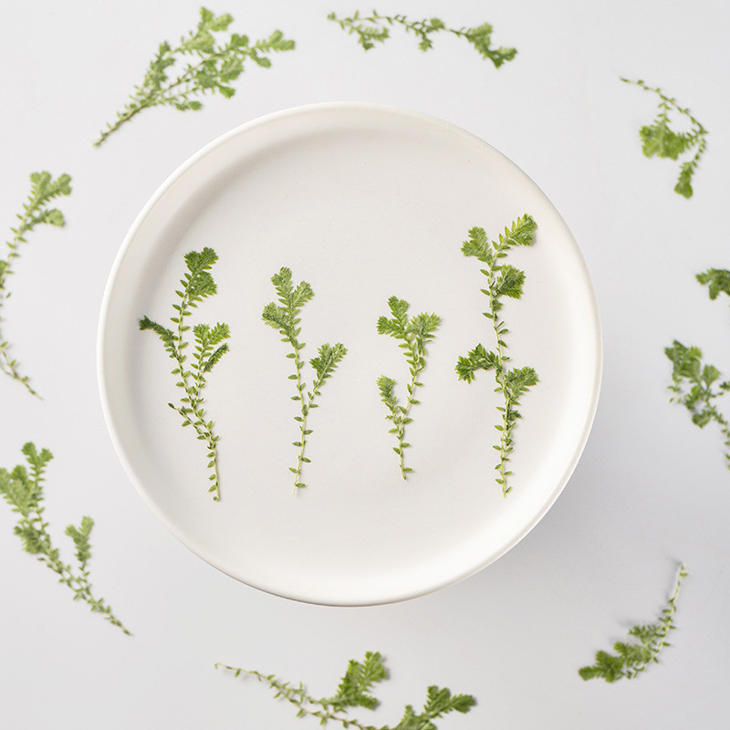 12PCS Cuiyun Grass Dropping Gel เคสโทรศัพท์ DIY สติกเกอร์วัสดุแพคเกจแต่งหน้าเจ้าสาว