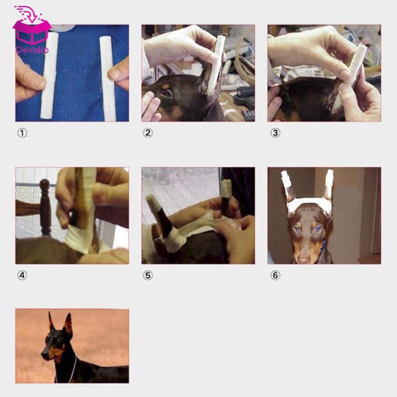 [chiwanji2mf] เครื่องมือยกหูสุนัข เทปโฟม ขาตั้งหู สติกเกอร์หู ยืด - รูปที่ 3