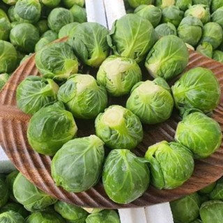 สดจากสวน กะหล่ำดาวสด กะหล่ำหัวลำต้น พร้อมส่ง กะหล่ำสด กรอบ ห…