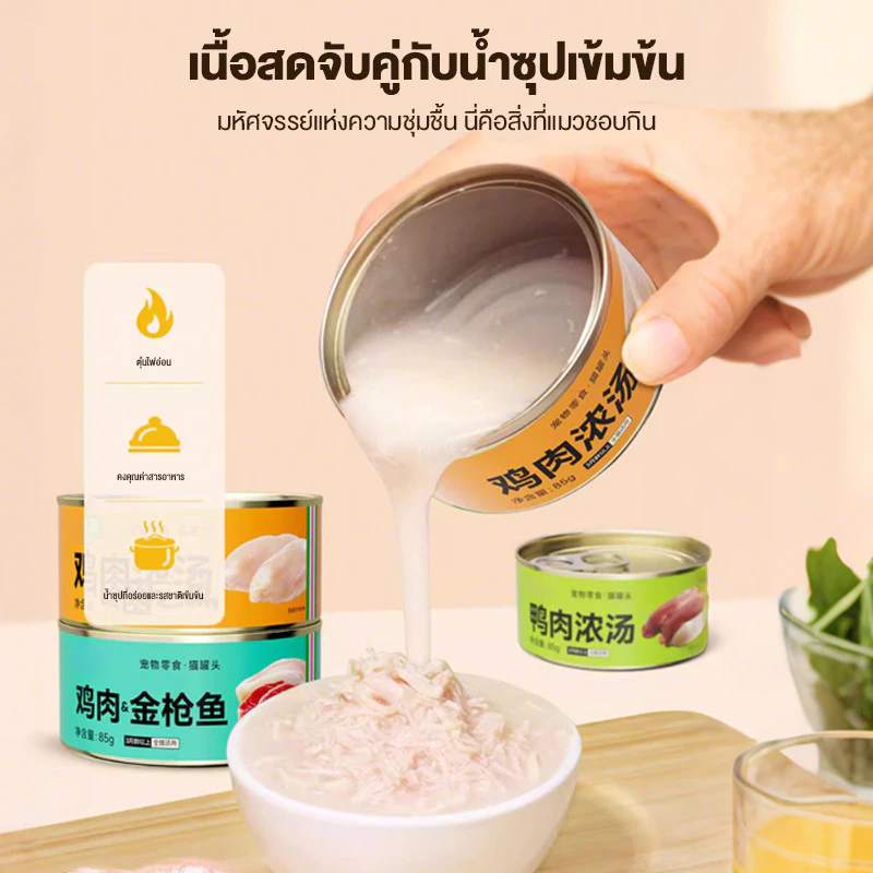 อาหารเปียกแมว สูตรปลาแซลมอน 85 กรัม thumbnail 6