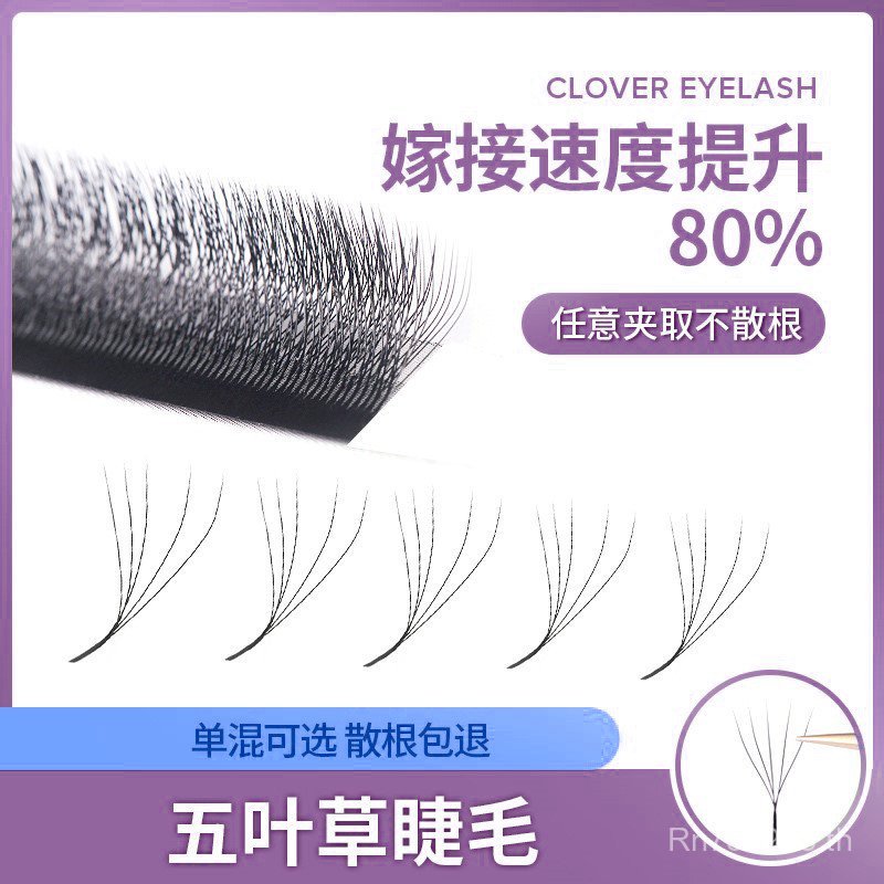 Clover Mixed Package 5D Grafted yy5y Type Beauty Eyelash Shop พร้อมสต็อกขนตา Clover Super Soft หนา C