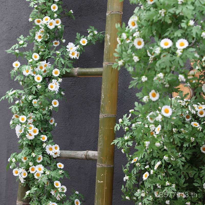 จําลองผนังหวายดอกไม้ปลอมเถาดอกไม้เถาในร่มเดซี่ดอกไม้เถาพลาสติกดอกไม้บล็อกไขลานเครื่องปรับอากาศท่อตกแ