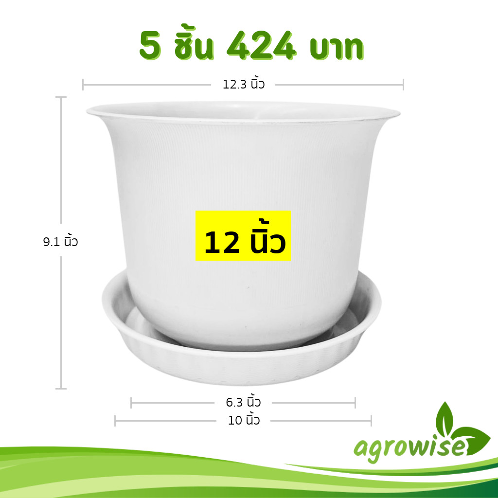 กระถาง กระถางต้นไม้ มินิมอล ถ้วยจีน+จาน ขนาด 12 นิ้ว สีขาว Bundle 5 ใบ ชิ้น อัน