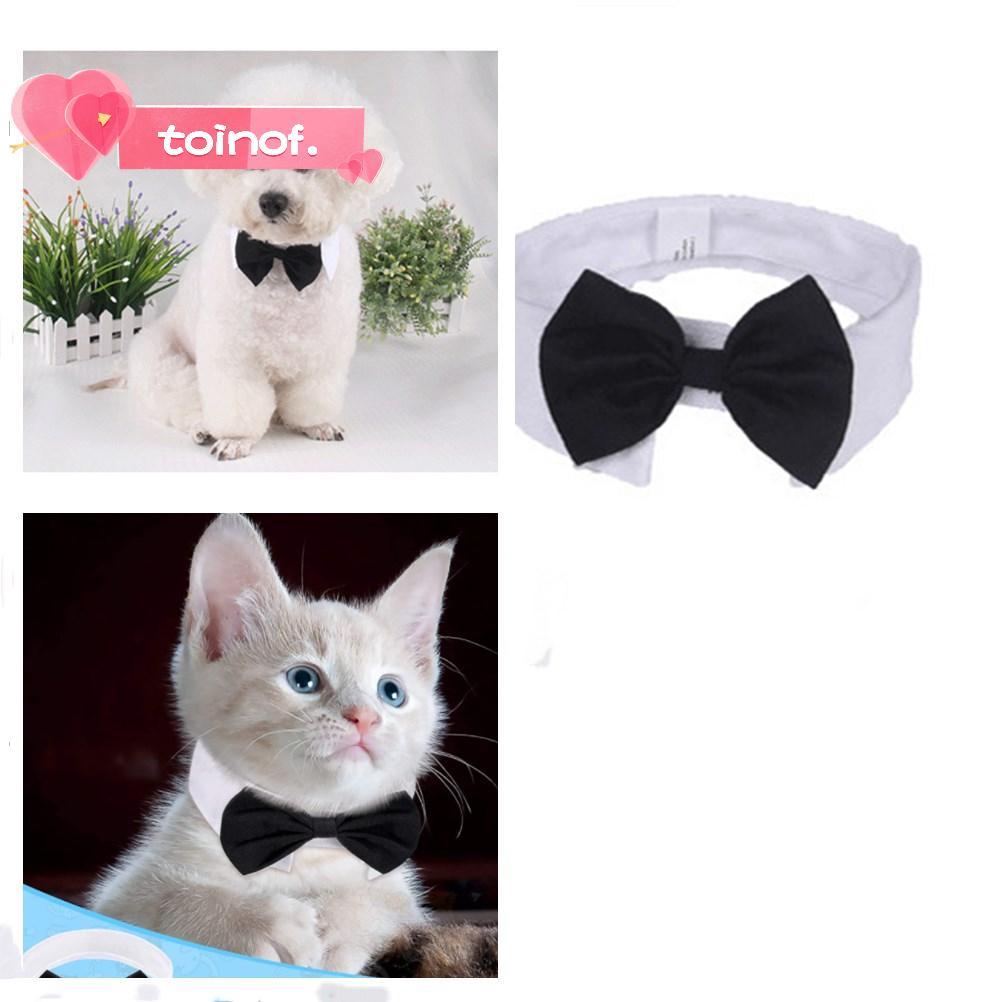 TOINOF Cat Tuxedo Collar Grooming อุปกรณ์เสริมวันเกิด Puppy สัตว์เลี้ยงอย่างเป็นทางการ Tuxedo