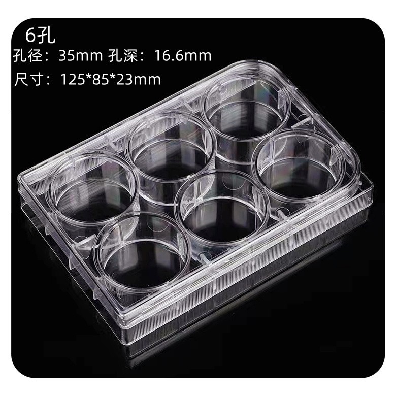 6-Well 12-Well 24-Well 48-Well 96-Well celtur 6-Hole 12-Hole 24-Hole 48-Hole 96-Hole cell Culture Di