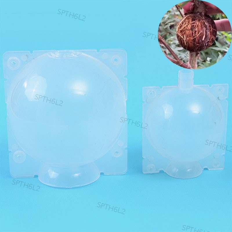 สวนผลไม้ต้นไม้ปลูก Rooting Ball Root กล่อง Grafting Rooter Grow กล่อง Breeding Garden เครื่องมืออุปก