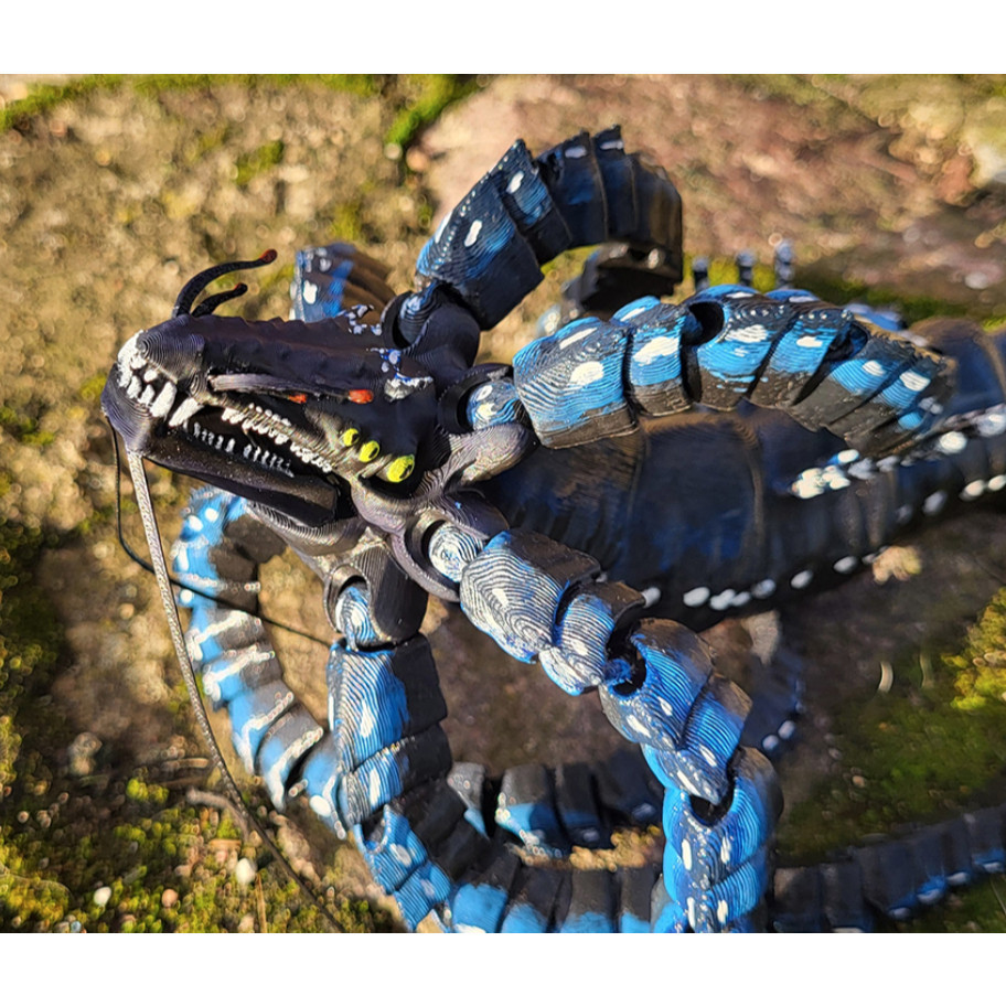 Thumbnail 5