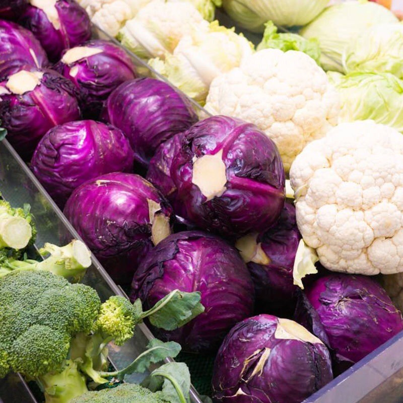 เมล็ดพันธุ์ กะหล่ำปลี ม่วง บรรจุ 150เมล็ด Purple Red Cabbage Seeds for Planting เมล็ดพันธุ์แท้