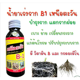 #เร่งราก น้ำยาเร่งราก B-1 บีวัน Speed B1 Extra Plus ขนาด 100 ซีซี มีวิตามิน B1+กรดอะมิโน #เหนือตะวัน