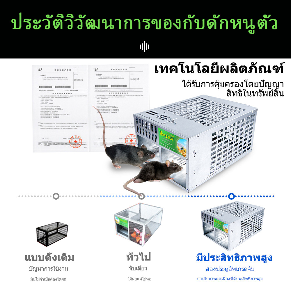 เรียบง่าย กับดักหนู กับดักหนูต่อเนื่อง ใช้ได้จริง ประสิทธิภาพสูงในก ที่ดักหนู กับดักหนู ทนทาน กรงดักหนู ( 2ประตู） - รูปที่ 4