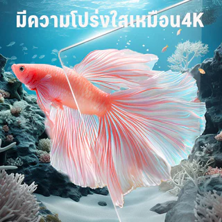 COD ตู้ปลาพลาสติก ทำความสะอาดง่าย มีความโปร่งใสเหมือน4K แข็งแรงทนทาน ดูได้ 360 องศา อควาเรียม