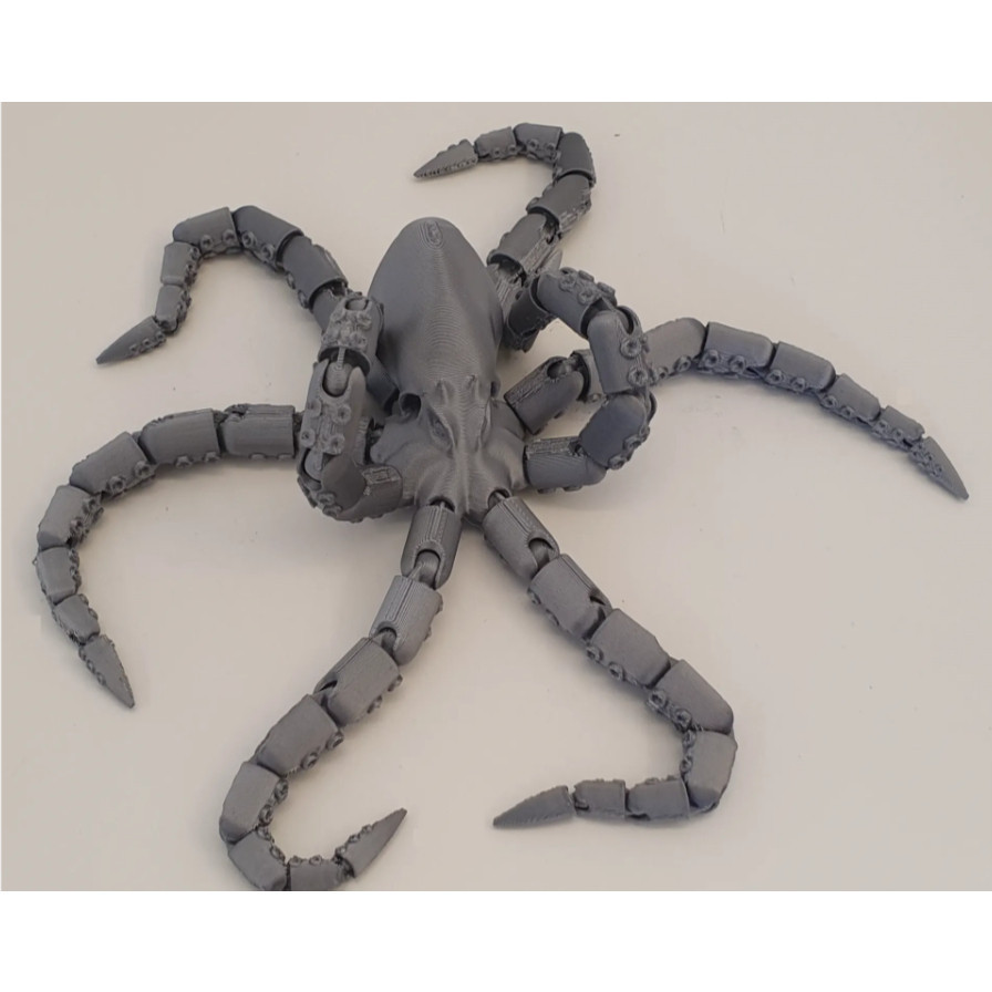 ของเล่นประกบการศึกษา Octopus Craken V3