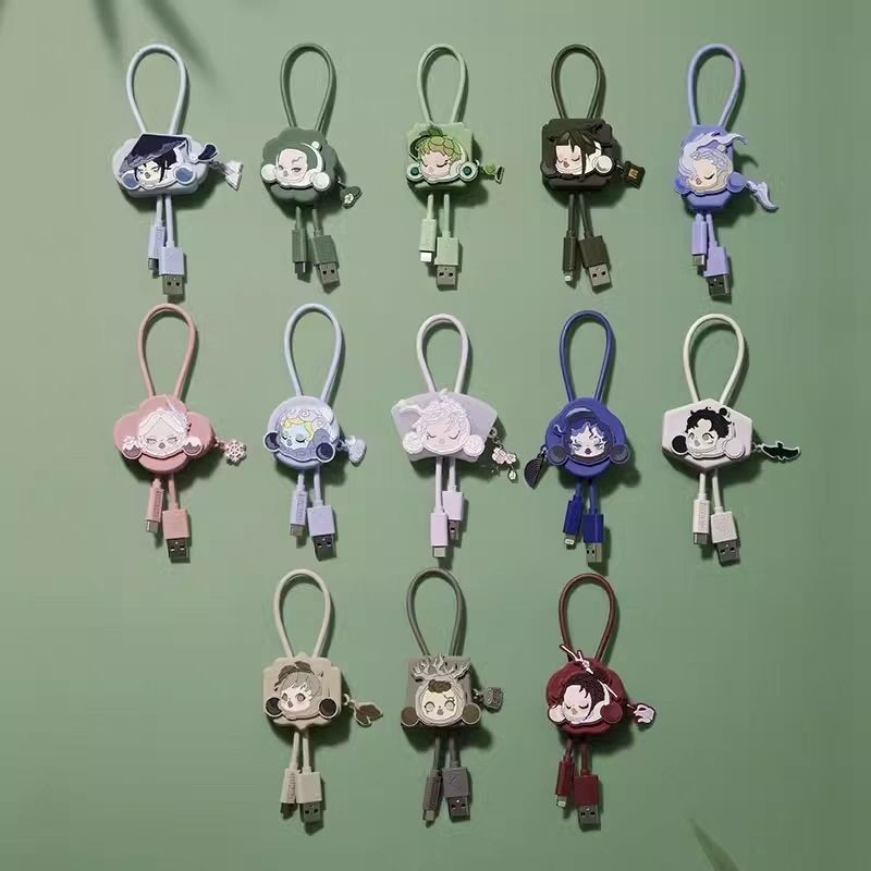 POPMART POPMART SKULLPANDA Tingqian Momei Data Cable Mystery Box สายชาร์จอุปกรณ์ต่อพ่วงของขวัญ/114