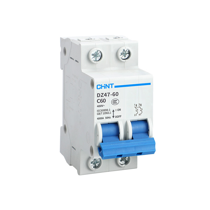 CHINT Air Switch Protector Miniature Circuit Breaker Air Switch DZ47-60 1P 2P 3P 4P