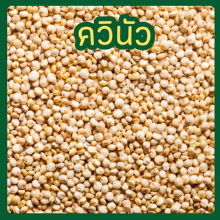 M 1กิโลกรัม ควินัวขาว White Quinoa (เม็ดใหญ่) ควินัวขาว ควินัว คีนัว ครีนัว ออร์แกนิค (organic)