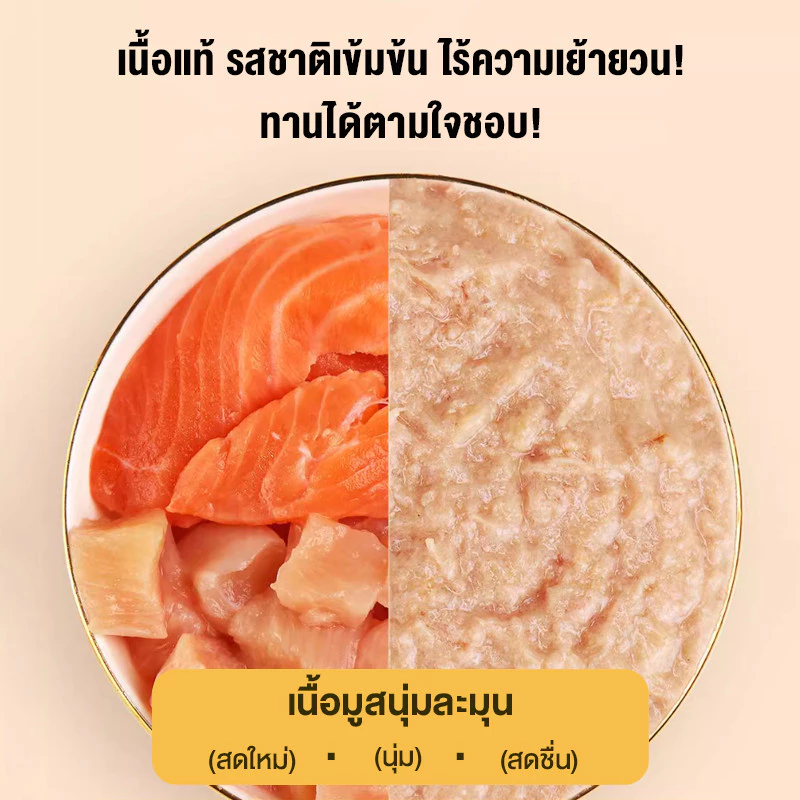 อาหารเปียกแมว สูตรปลาแซลมอน 85 กรัม thumbnail 4