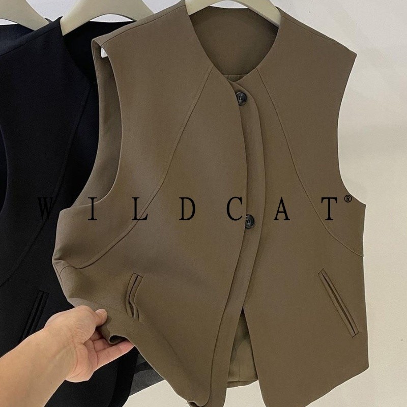 เสื้อกั๊กระดับไฮเอนด์สไตล์ใหม่ สำหรับฤดูใบไม้ผลิและฤดูใบไม้ร่วง ออกแบบให้มีอารมณ์เหมือนชุดหลวมและแจ็คเก็ต