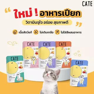 Cate Wet Food อาหารเปียกแมว 5 สูตร ไม่เติมเกลือ Vitamin E, A, B1, B2, B6, B12, D3, K3, Omega3,6 [ยกลัง 48 ซอง]