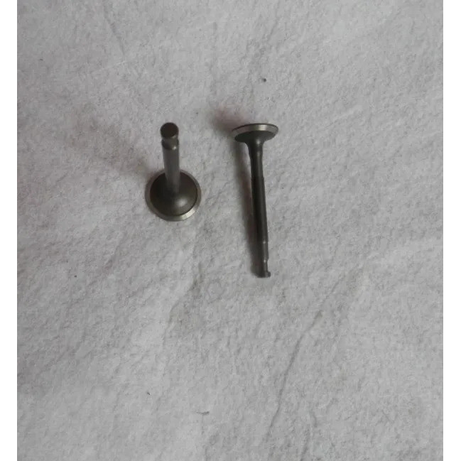 วาล์ว G100 IN. & อีเอ็กซ์. ชุดสําหรับ HONDA EM650 EX650 EX800 F200 HR17 WA15 1KW GENERATOR INLET OUT