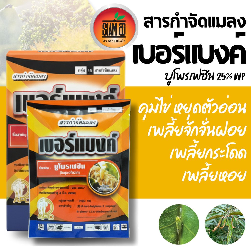 [100กรัม] เบอร์แบง บูโพรเฟซิน  สารยับยั้งการลอกคราบของแมลง คุม-ฆ่าไข่หนอน คุมไข่เพลี้ย เพลี้ยกระโดด และแมลงปาดดูด ยาเย็น