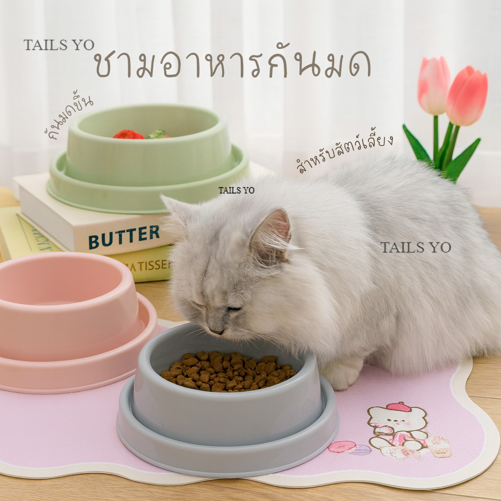 ชามอาหารกันมด กันแมลงขึ้น น่ารัก ชามยกสูง ชามสัตว์เลี้ยง เทน้ำรอบชามได้ พร้อมส่งจากไทย M
