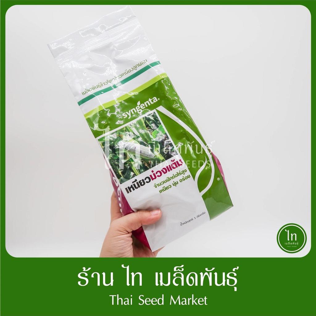 เหนียวม่วงแต้ม ข้าวโพดข้าวเหนียว ม่วงแต้ม ขาวม่วง หวาน เมล็ดข้าวโพด ลูกผสม 2 สี หวานดกใหญ่ทนโรค บรรจุ 1 กิโลกรัม