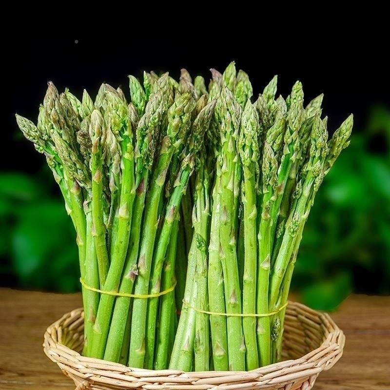 เมล็ดพันธุ์ 10 เมล็ด  Asparagus Seed เมล็ดพันธุ์แท้นำเข้าจากต่างประเทศ ปลูกผัก เมล็ด ปลูก ผัก