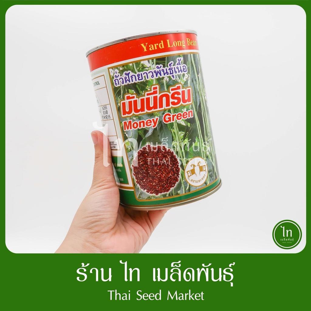 ถั่ว มันนี่กรีน ถั่วเนื้อ พันธุ์ดก ทนไวรัสมาก ถั่วเกษตร เมล็ดพันธุ์ ถั่วฝักยาว ตราแพะทอง บรรจุ 500 กรัม
