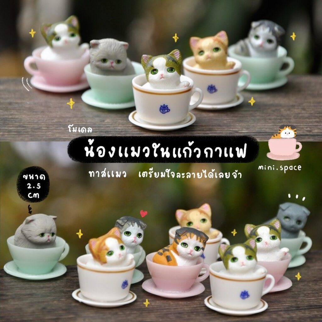 O-mini โมเดลแมวน้อยในถ้วย Cat Cup (ชุด 8 แบบ) MS5076 ตุ๊กตาจิ๋ว โมเดลจิ๋ว ตุ๊กตาเรซิ่น แต่งบ้าน แต่งสวน จัดสวนถาด ตั้...