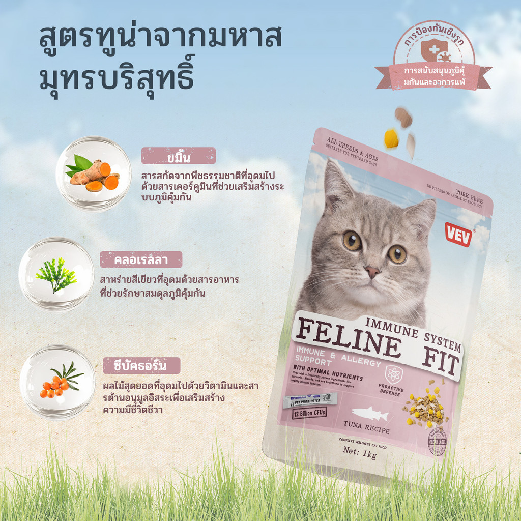 【โปรไบโอติกฟรี】VEV  แบ่งขาย 1 kg. Premium Cat Food Gluten Free