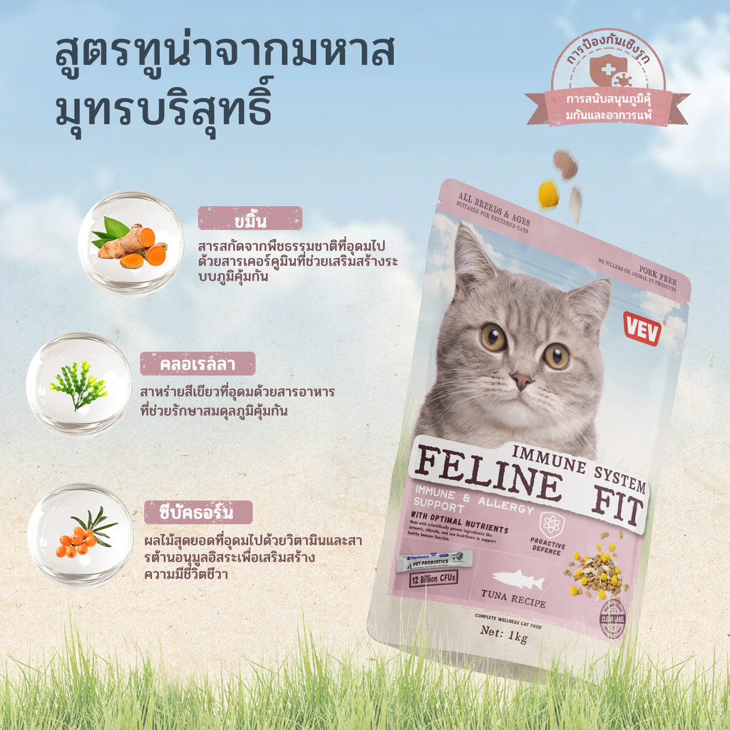 【โปรไบโอติกส์ฟรี】VEV แบ่งขาย 1 kg. Premium Cat Food Gluten Free