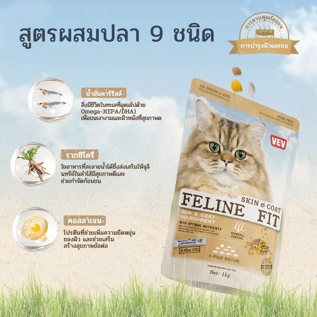 VEV อาหารแมวบัซซ์ แบ่งขาย 1 kg. Premium Cat Food Gluten Free