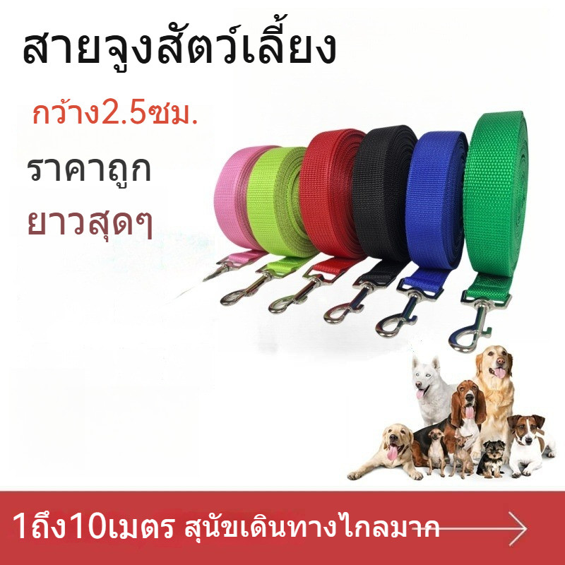 สำหรับสุนัขและแมว สายจูงยาวสำหรับสุนัขใหญ่ สายจูงสัตว์เลี้ยงยาว