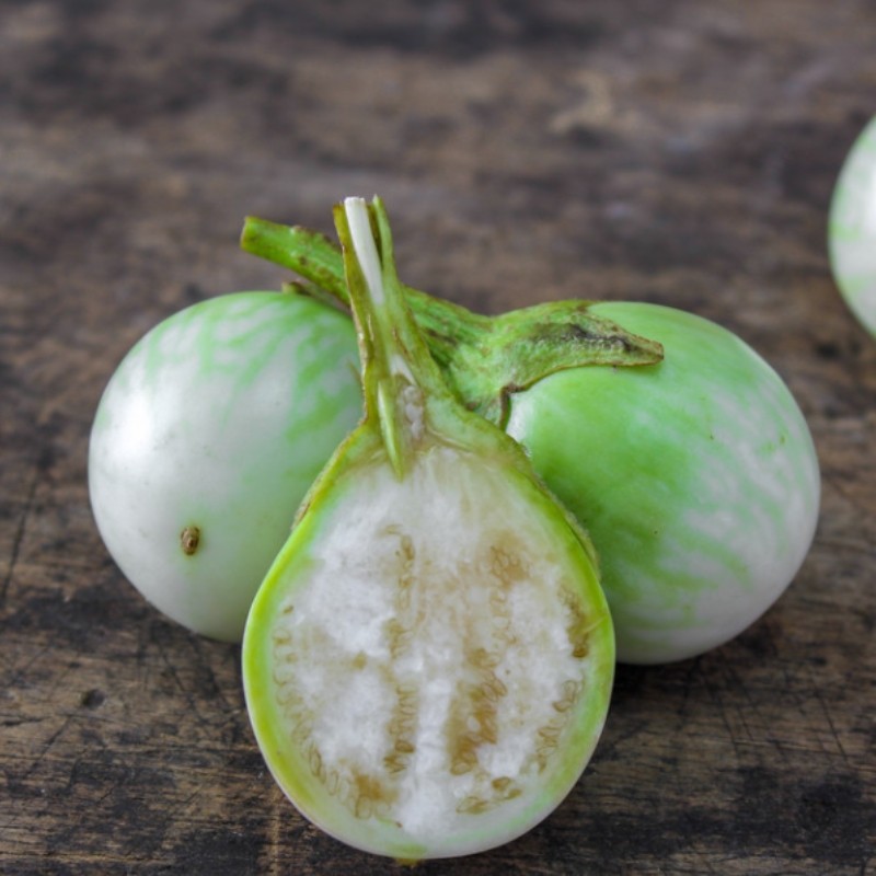 ผลผลิตสูง มะเขือยักษ์ หยกภูพาน  200 เมล็ด ปลูกง่าย อัตราการผลผลิตสูง ( Yok poo pan Giant Eggplant seed)ผลผลิตสูง