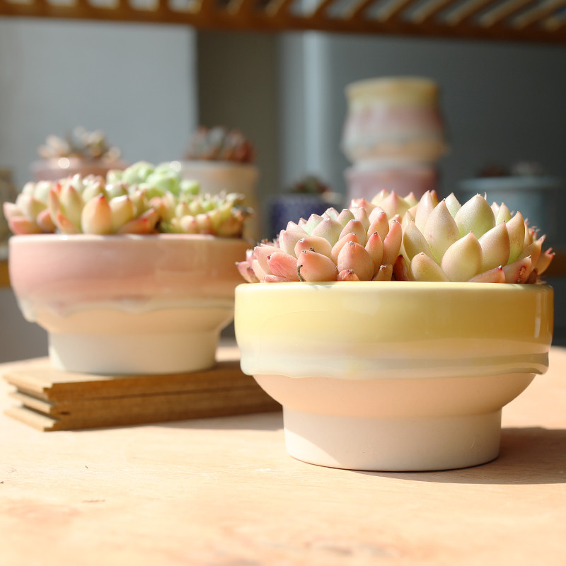 B B. เส้นผ่านศูนย์กลางขนาดใหญ่ Simple Fresh Ice Crack Glaze Succulent กระถางดอกไม้ Platter PP Piggy 