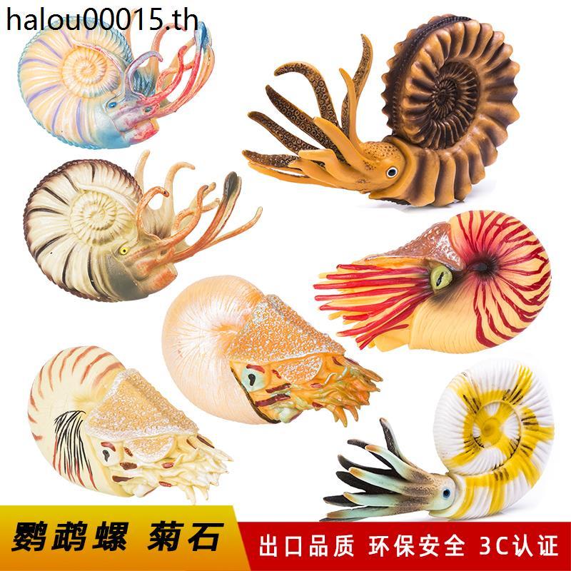 จําลองนักรบเย็นโบราณชีวิตทางทะเลรุ่นนกแก้วหอยทากของเล่น Ammonite โลกใต้น้ําเด็กของขวัญวันเกิด