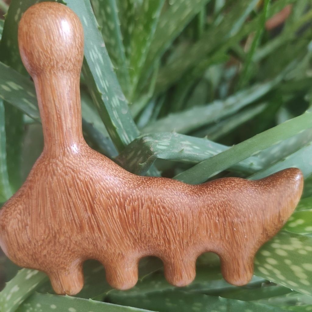 ไม้จันทน์นวดเท้า Acupoint นวด Point Meridian Point กดเครื่องมือเท้า Dredge Ground Tendon ไหล่คอ Fing