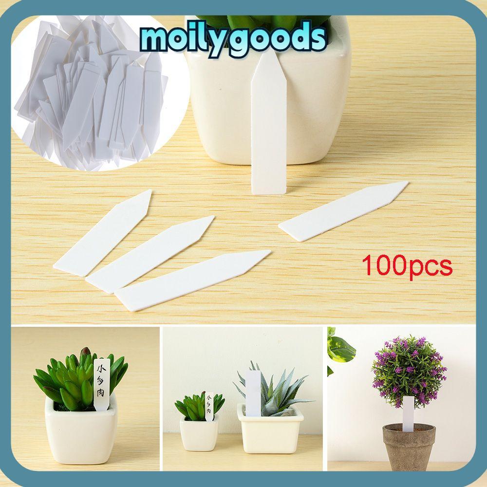 MOILYHD 100 ชิ้น Nursery Pot นํากลับมาใช้ใหม่ได้การจําแนกเมล็ดมาร์กเกอร์เครื่องมือสวนกันน้ํา