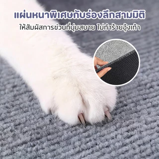 Pet Store พรมลับเล็บแมว ที่ฝนเล็บ แบบติดผนัง พร้อมกาว กันรอยข่วนได้ดี มีทั้งหมด 4 ขนาด DIY ได้นะคะ