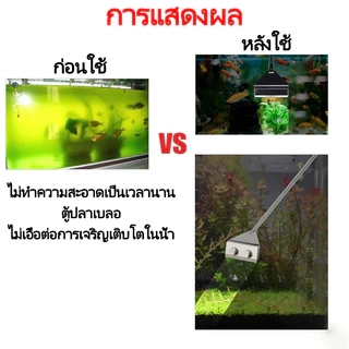 ไม้ขูดตะไคร่ ที่ขูดตะไคร่น้ำ Algae Scraper ยาว 32cm 42cm 62cm สำหรับขูดตะไคร่น้ำเกาะกระจกตู้ปลา แถมใบมีด
