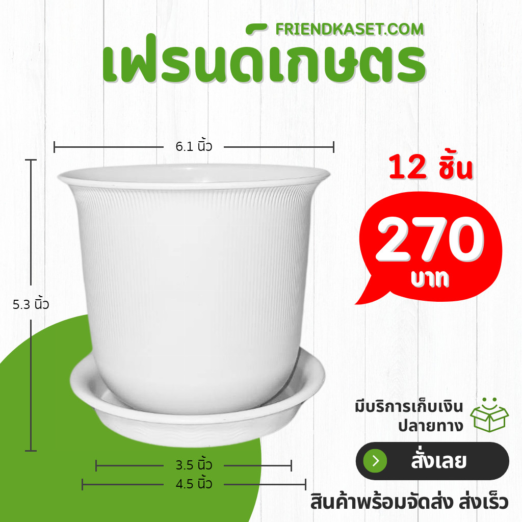 กระถาง กระถางต้นไม้ มินิมอล ถ้วยจีน+จาน ขนาด 6 นิ้ว สีขาว สีเขียว Bundle 12 ใบ ชิ้น อัน