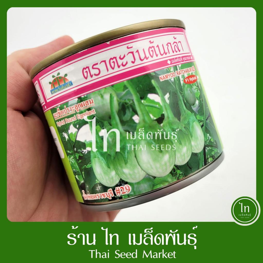 มะเขือเปราะ น้ำหยดราชบุรี #29 เมล็ดพันธุ์ มะเขือเปราะ ราชบุรี ลูกผสม ตรา ตะวันต้นกล้า บรรจุ 50 / 20 กรัม
