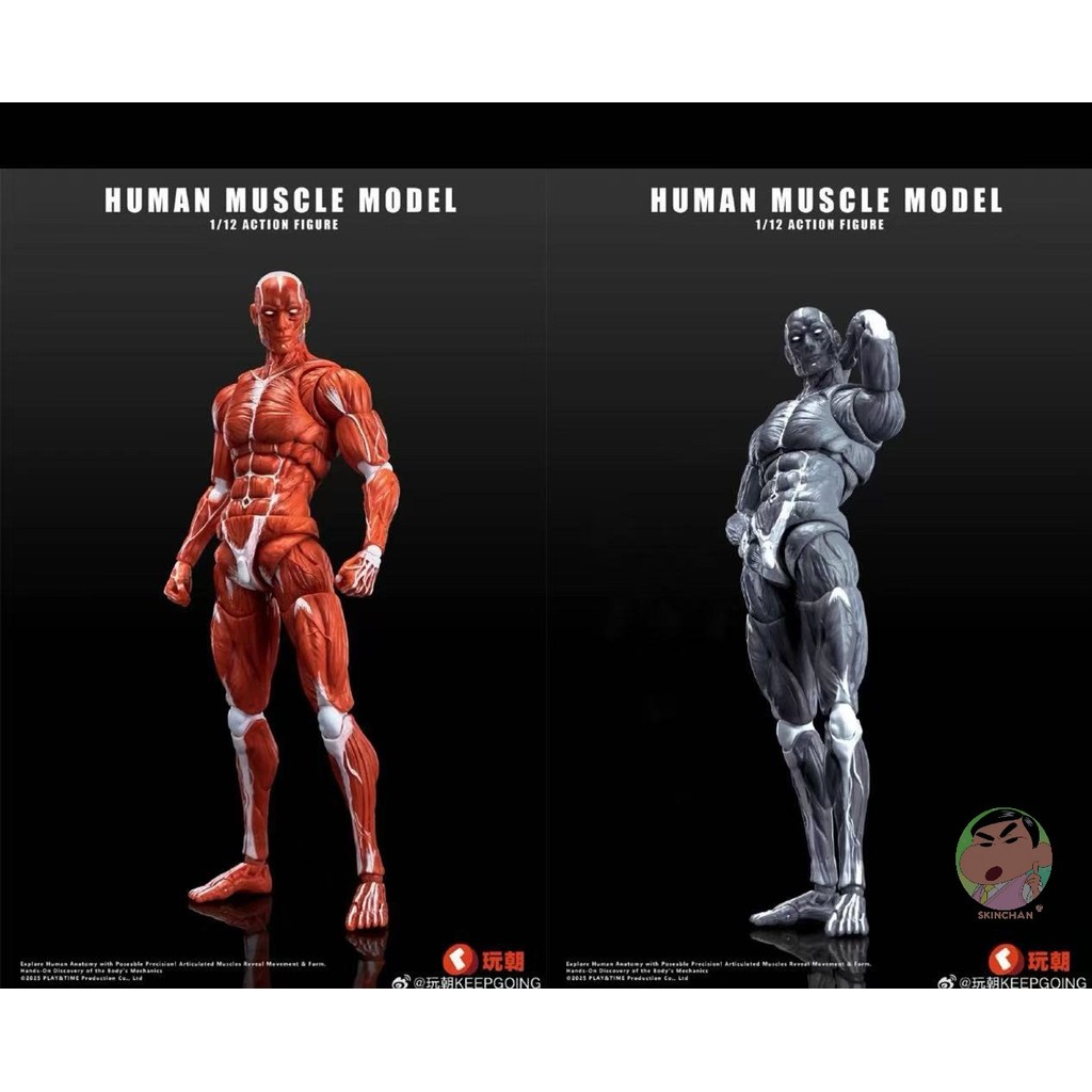 KEEPGOING 1/12 Human Muscle Model Super Movable Doll Action Figure